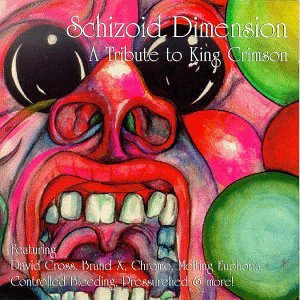"Schizoid Dimension" CD cover